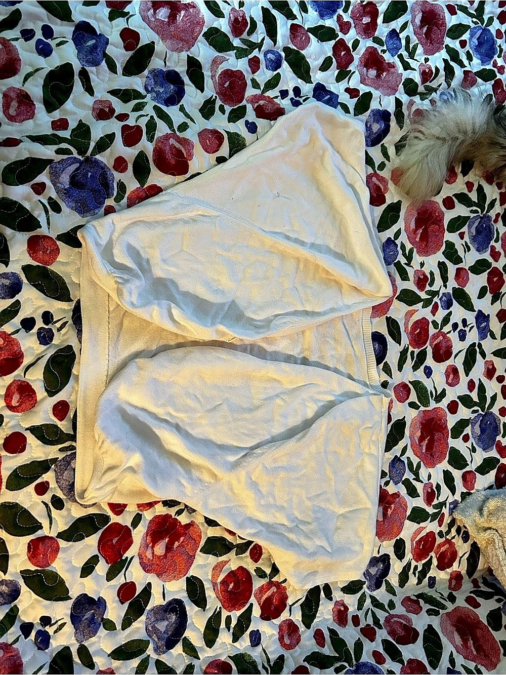 White Camisole
